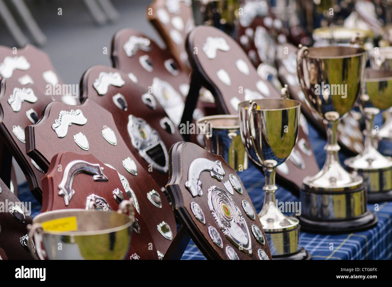 Table covered in trophies and awards including wooden plaques and silver cups Stock Photo