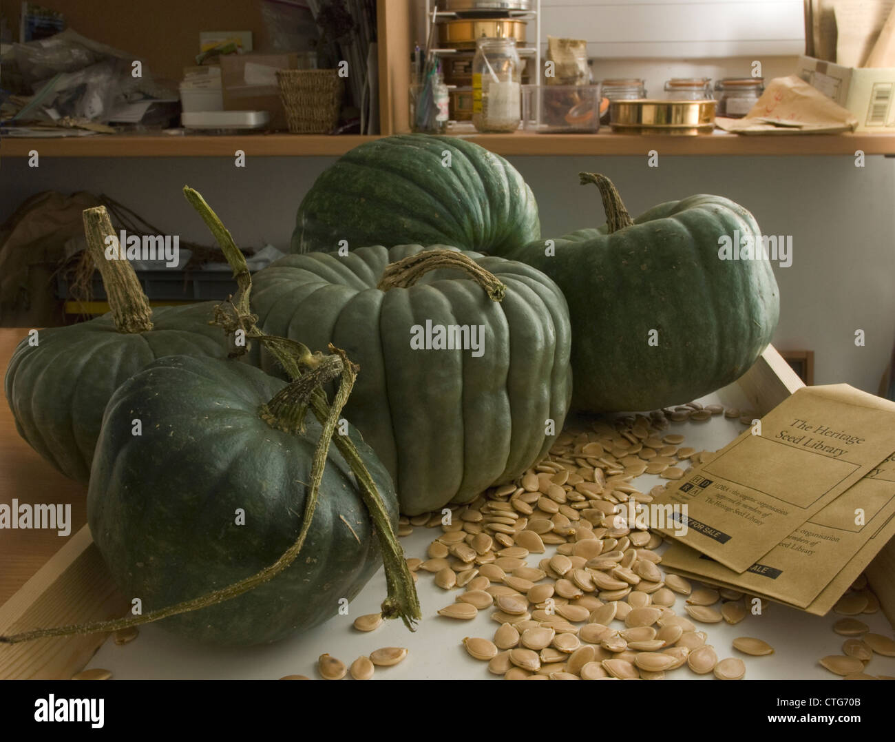 Blue Pumpkin High Resolution Stock Photography And Images Alamy