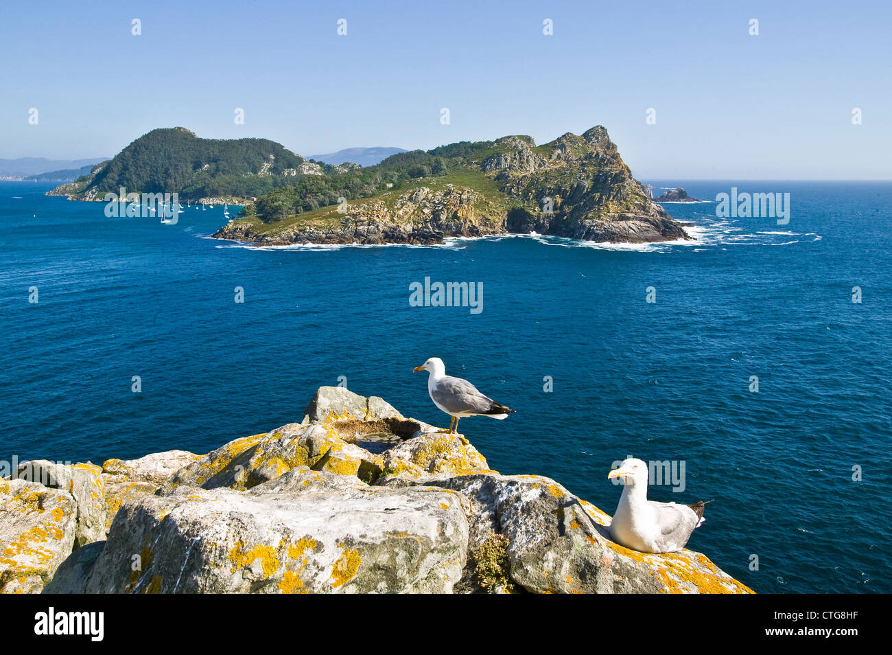 Island of Cies, atlantic coast, Spain Stock Photo