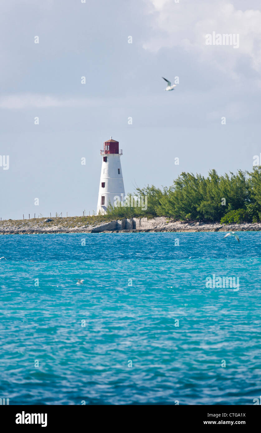 8,361 Paradise Island Bahamas Stock Photos, High-Res Pictures, and