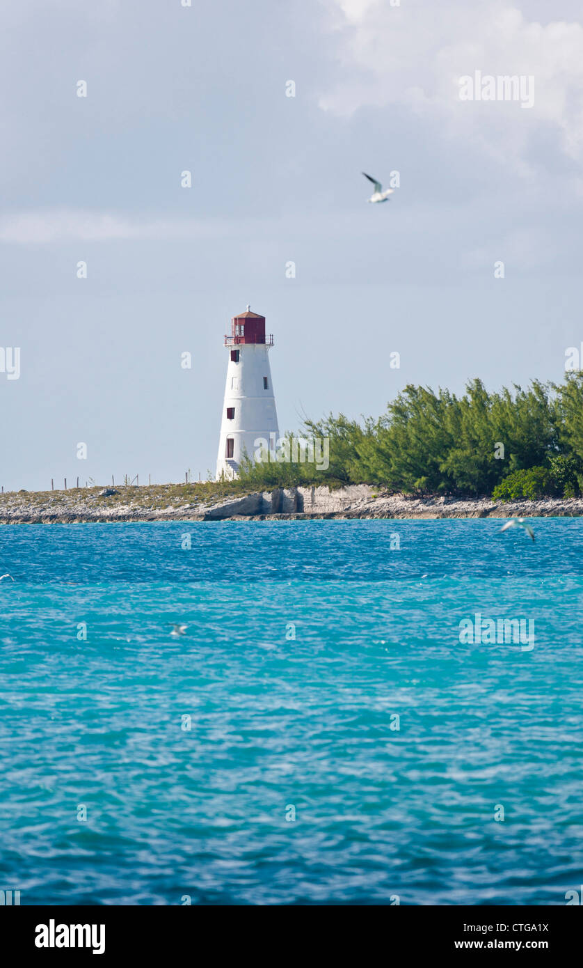 4,100+ Paradise Island Bahamas Stock Photos, Pictures & Royalty