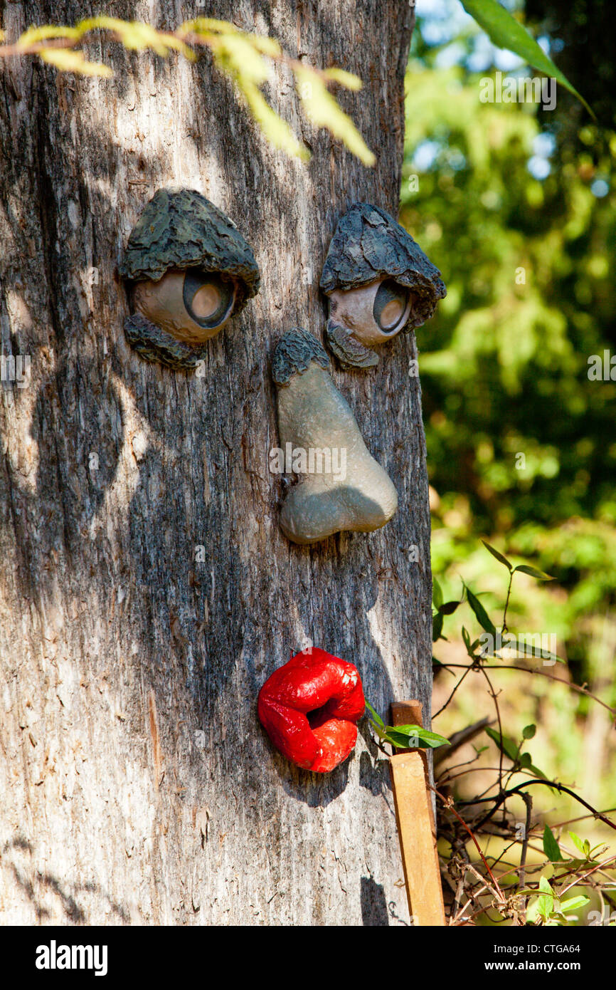 Eyes Nose And Mouth Features Attached To Tree To Form A Face
