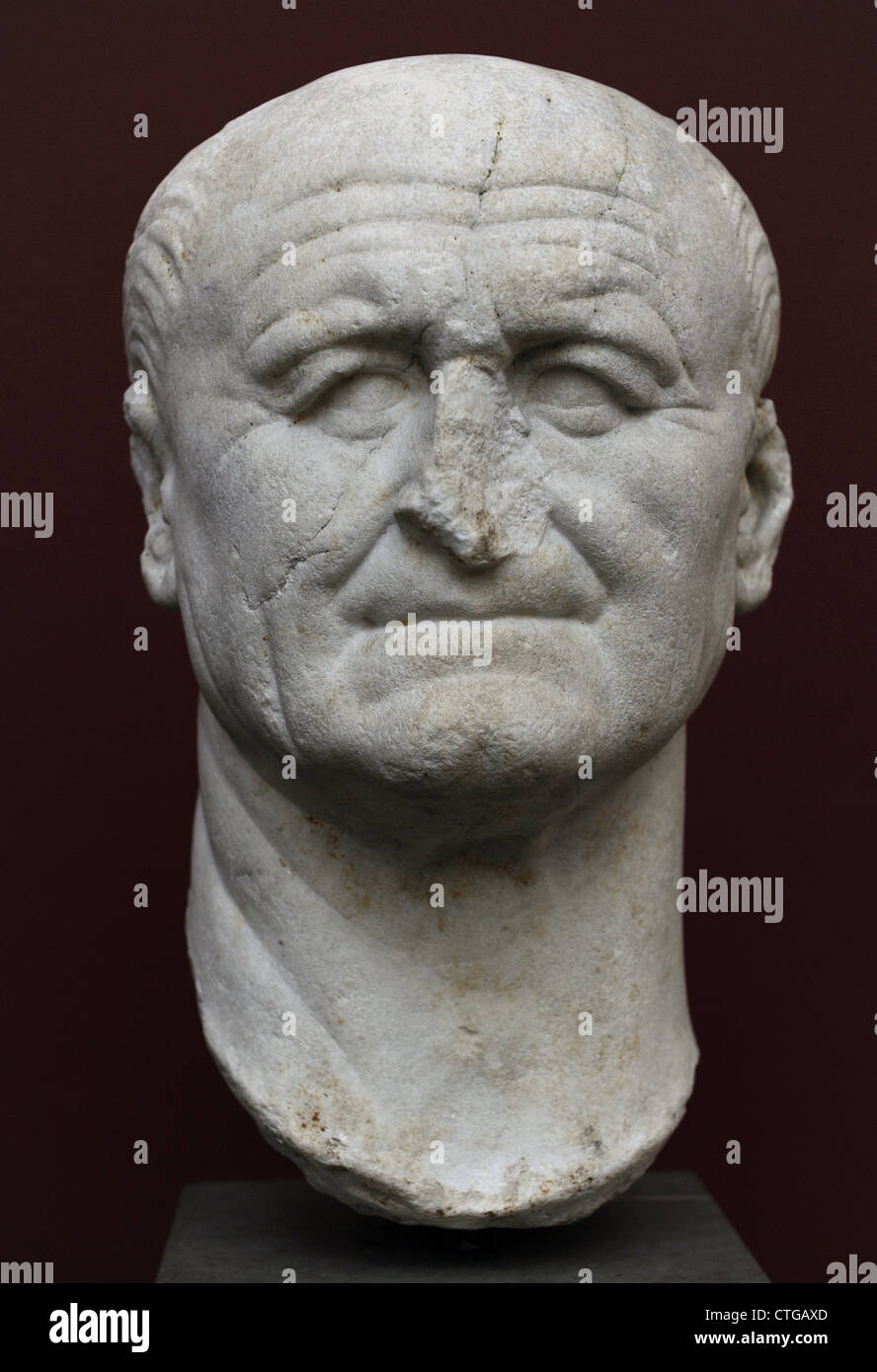 Vespasian (Titus Flavius Vespasianus) (9-79). Roman Emperor (69-79). Bust. Marble. 70 A.C. Carlsberg Glyptotek Museum. Stock Photo