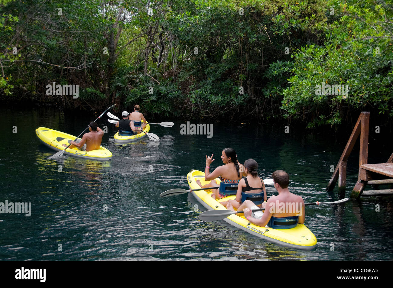 A group of kayakers enjoy paddling in the spring run cenotes at Tres ...