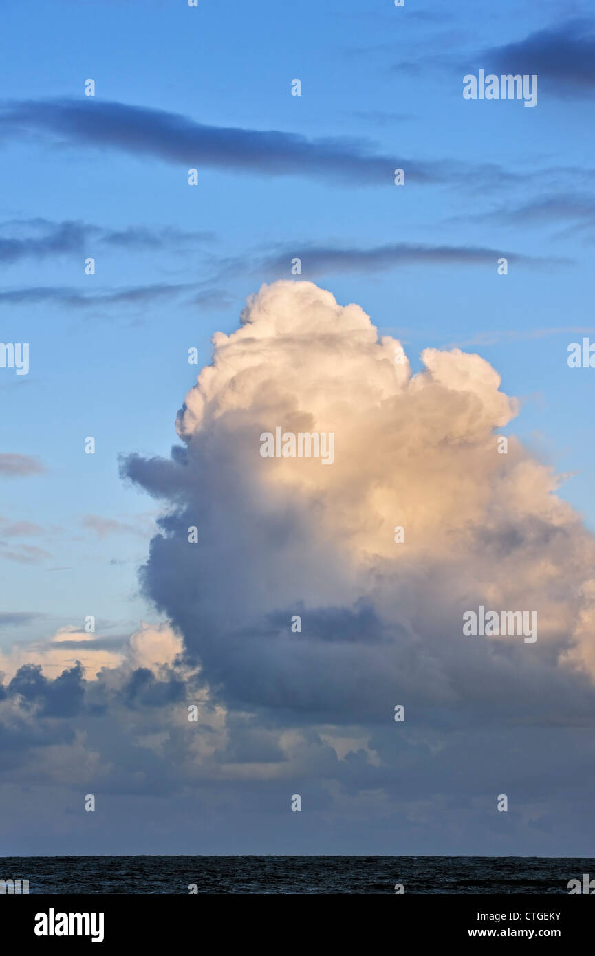 Cumulus congestus / towering cumulus clouds over the sea formed by the development of cumulus mediocris Stock Photo