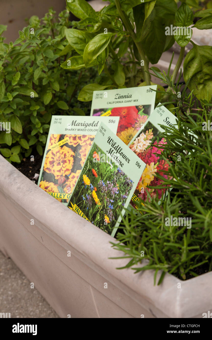 Packets of Flower Seeds Stock Photo Alamy