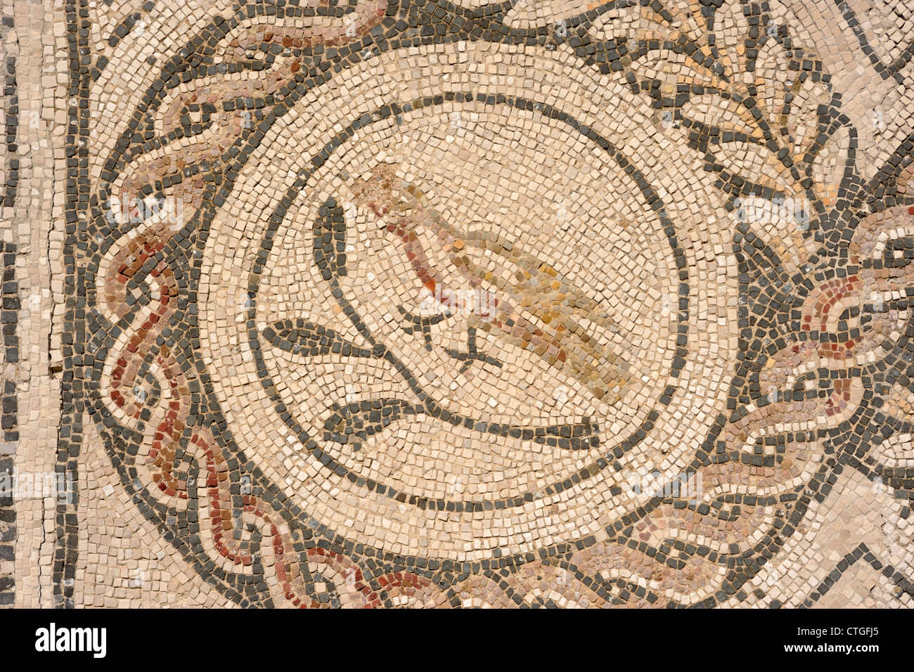 ostia-mosaic-hi-res-stock-photography-and-images-alamy