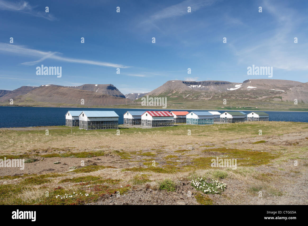 Houses for drying fish near Isafjordur, Westfjords, Iceland Stock Photo