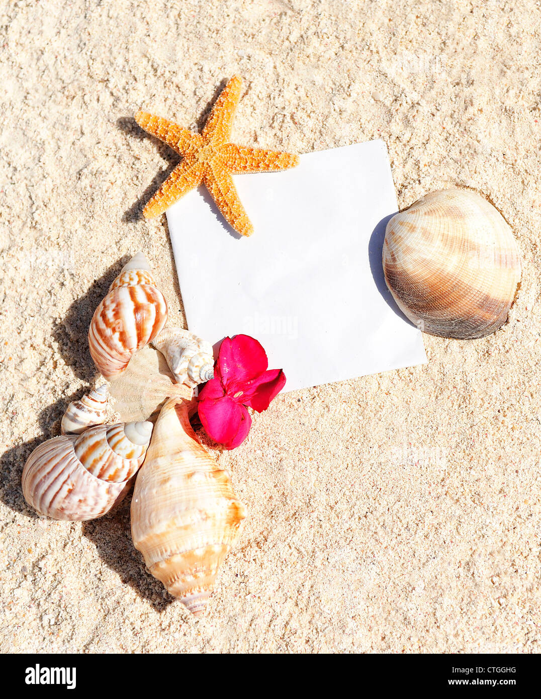 blank paper on white sand beach with starfish and shells like summer vacation background Stock Photo