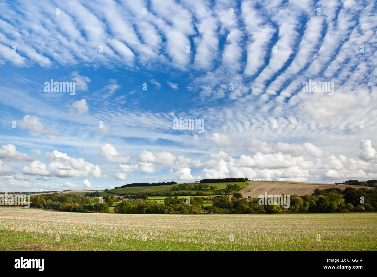 A view of the English countryside with white clouds and blue sky, Knighton Hill, Broad Chalke Wiltshire Stock Photo