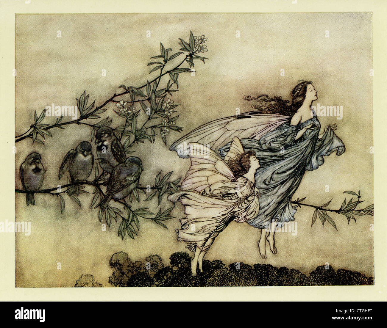 Peter pan illustrated by arthur rackham - wejes