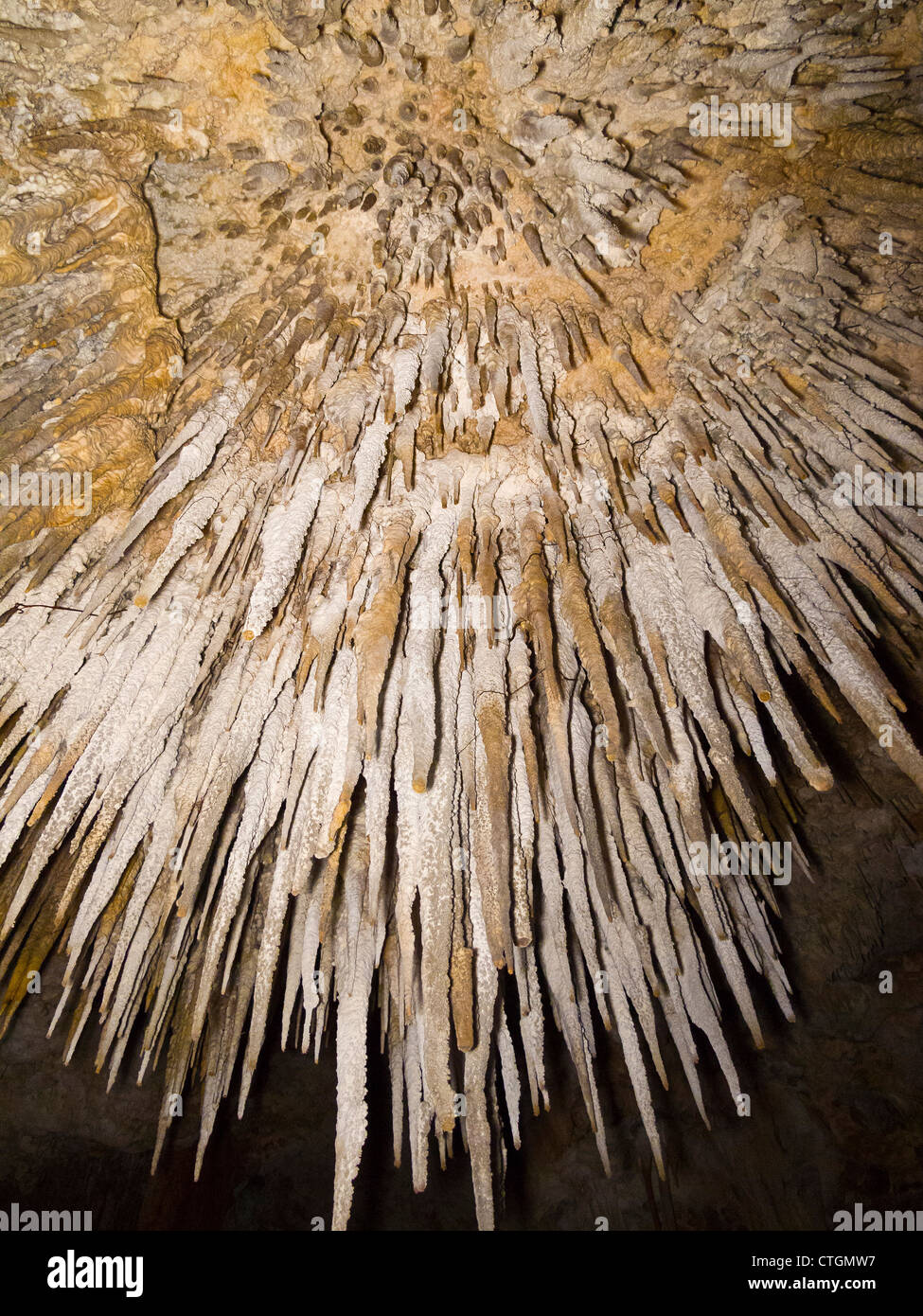 Fantastic rock stalactites drip from ceiling in spears in an underground cave that people can visit in Mexico Stock Photo
