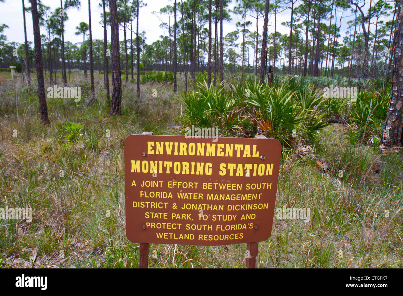 Florida Martin County,Hobe Sound,Jonathan Dickinson State Park,scrub