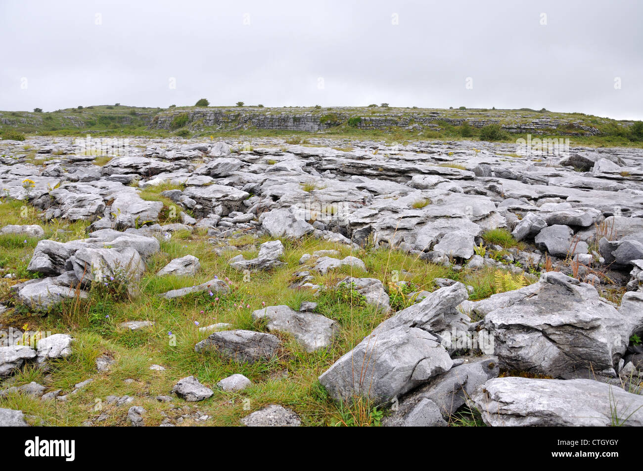 The Burren County Clare Ireland Stock Photo - Alamy