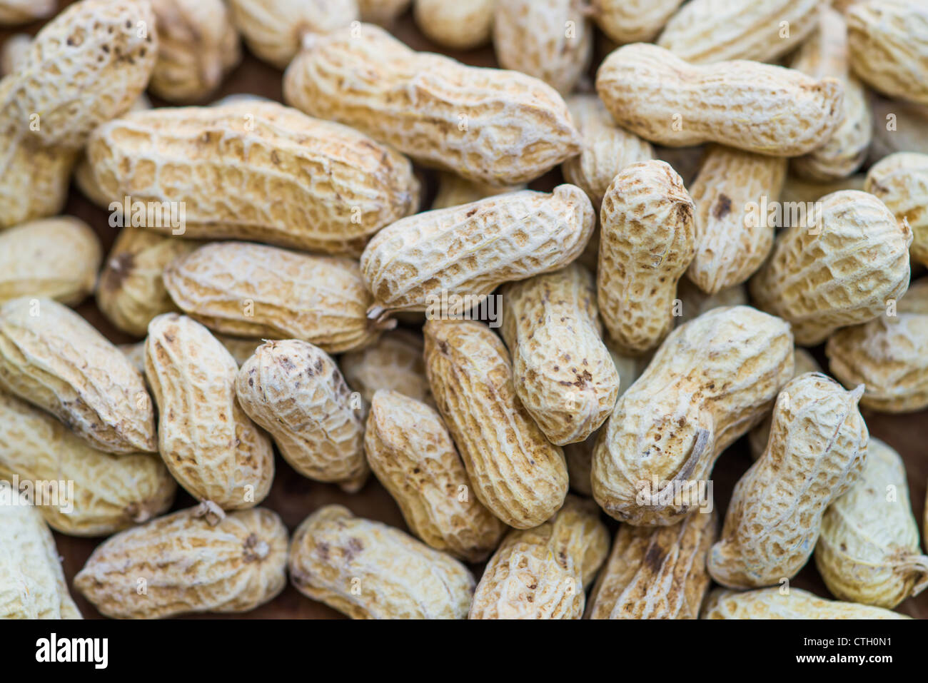 Peanuts in the shell Stock Photo Alamy