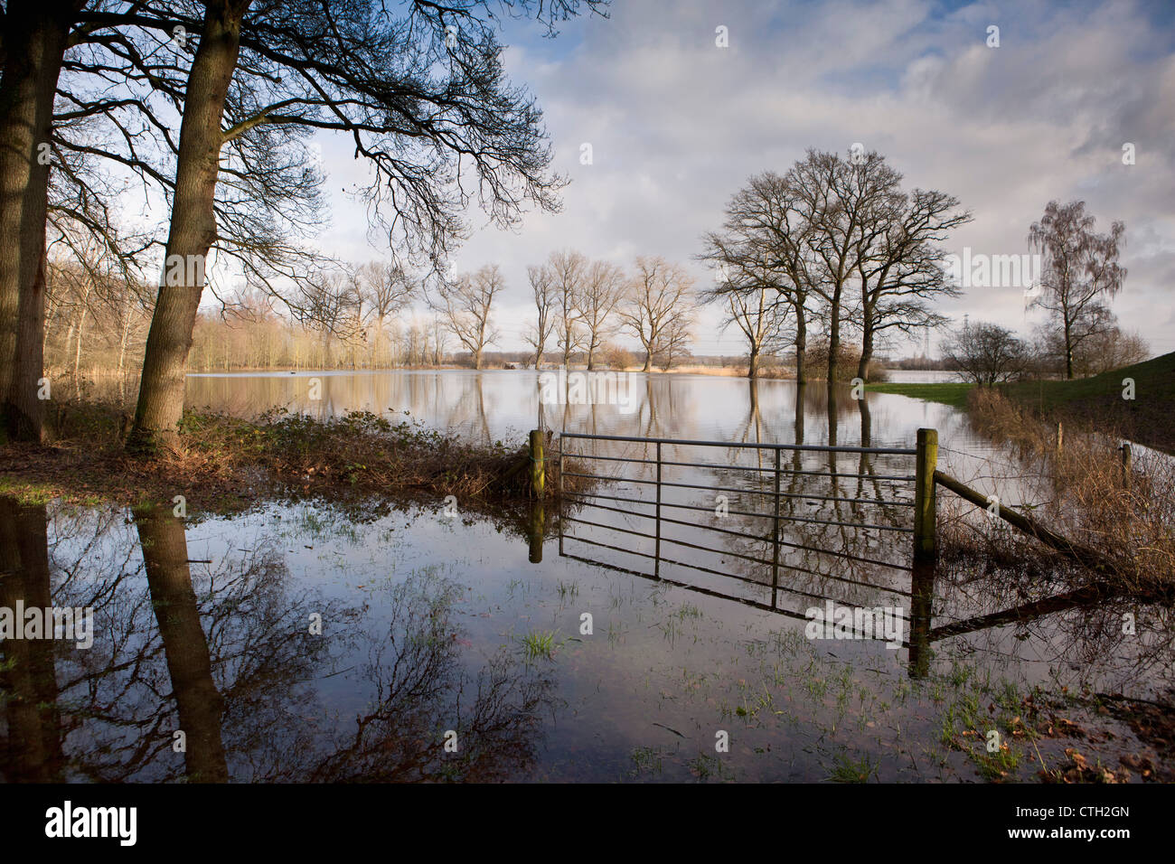 The Netherlands, Heerde, Flooded farmland. Ijssel river. High water. Stock Photo