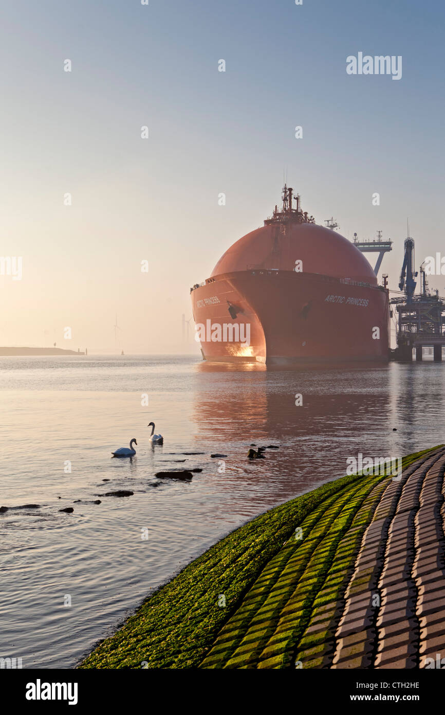The Netherlands, Rotterdam, Port. Norwegian tanker transporting Natural Liquid Gas ( LNG ). Stock Photo