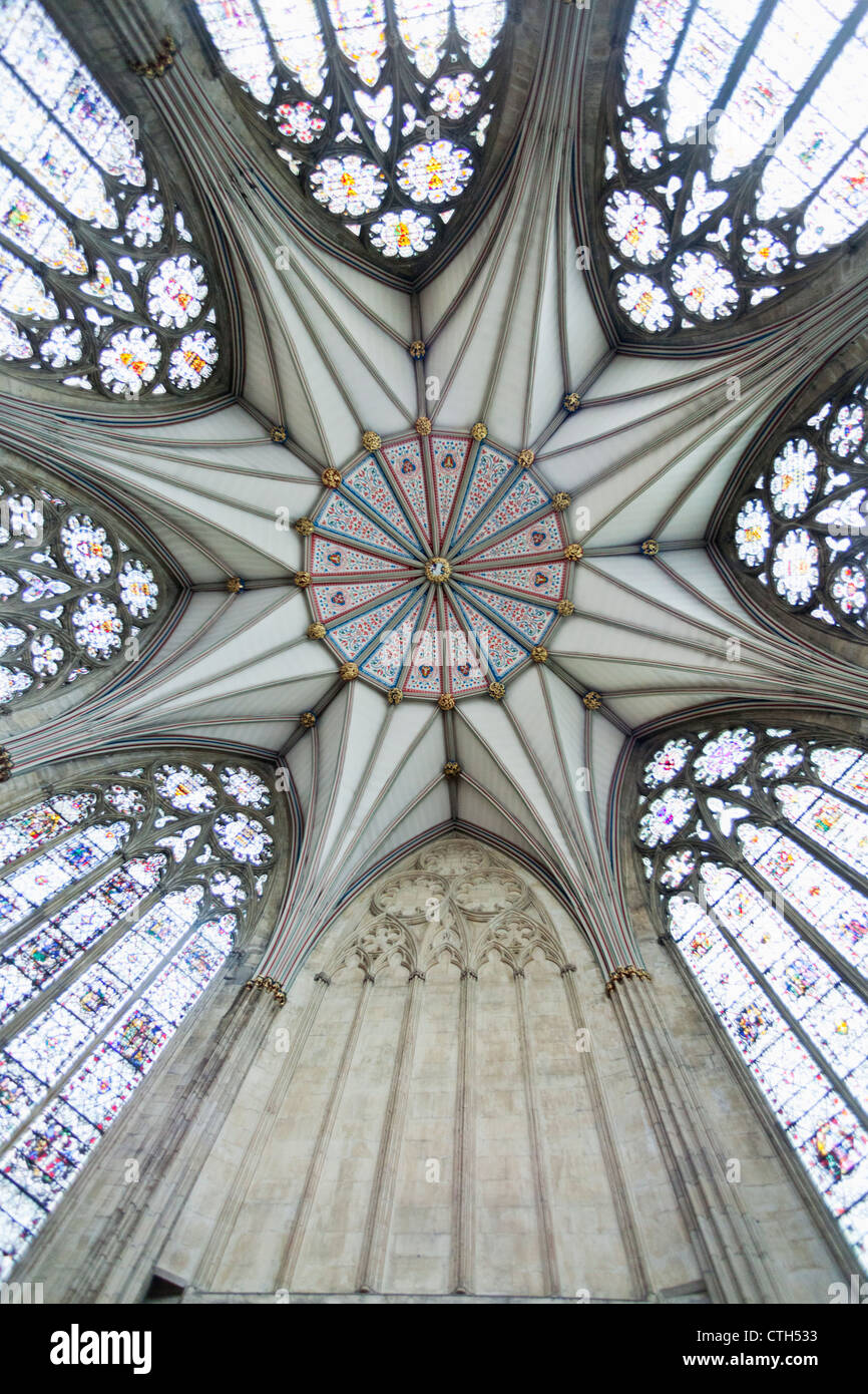 England, Yorkshire, York, York Minster, The Chapter House Ceiling Stock ...