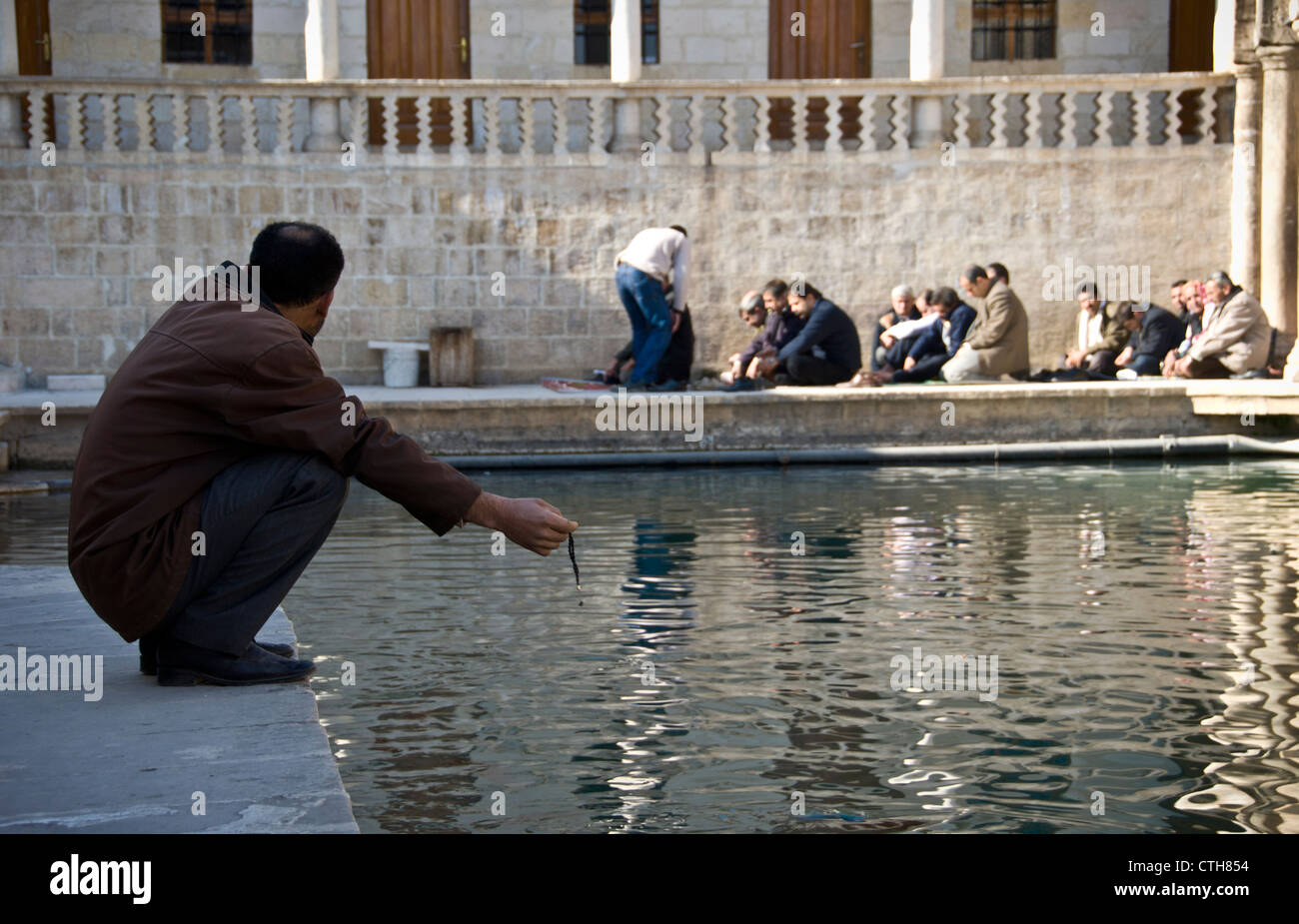 Muslim people praying at the Golbasi District and Abraham's sacred pool, Sanliurfa, Turkey Stock Photo