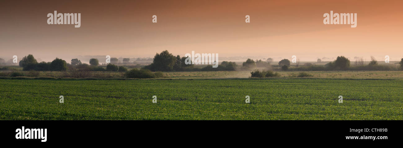 Fog over fields hi-res stock photography and images - Alamy