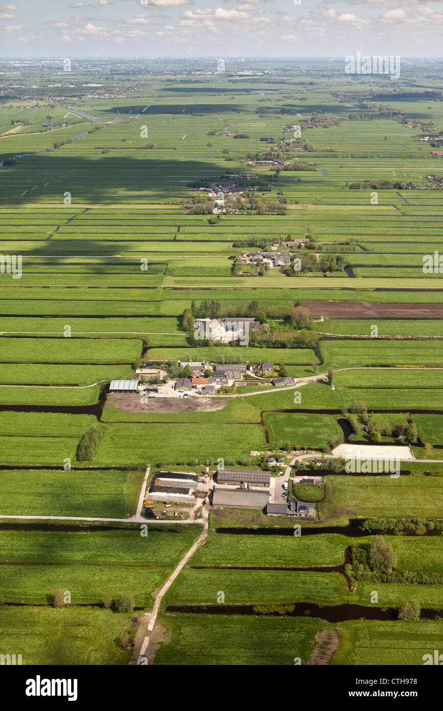 The Netherlands, Kamerik, Farms in polder. Aerial. Stock Photo