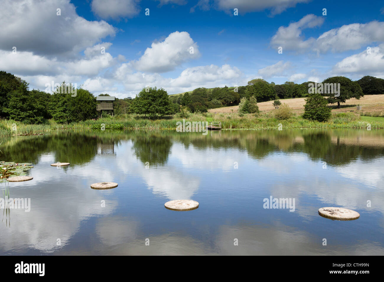 Lethytep; Cornwall; UK; farm diversification; wildlife pond and hide Stock Photo