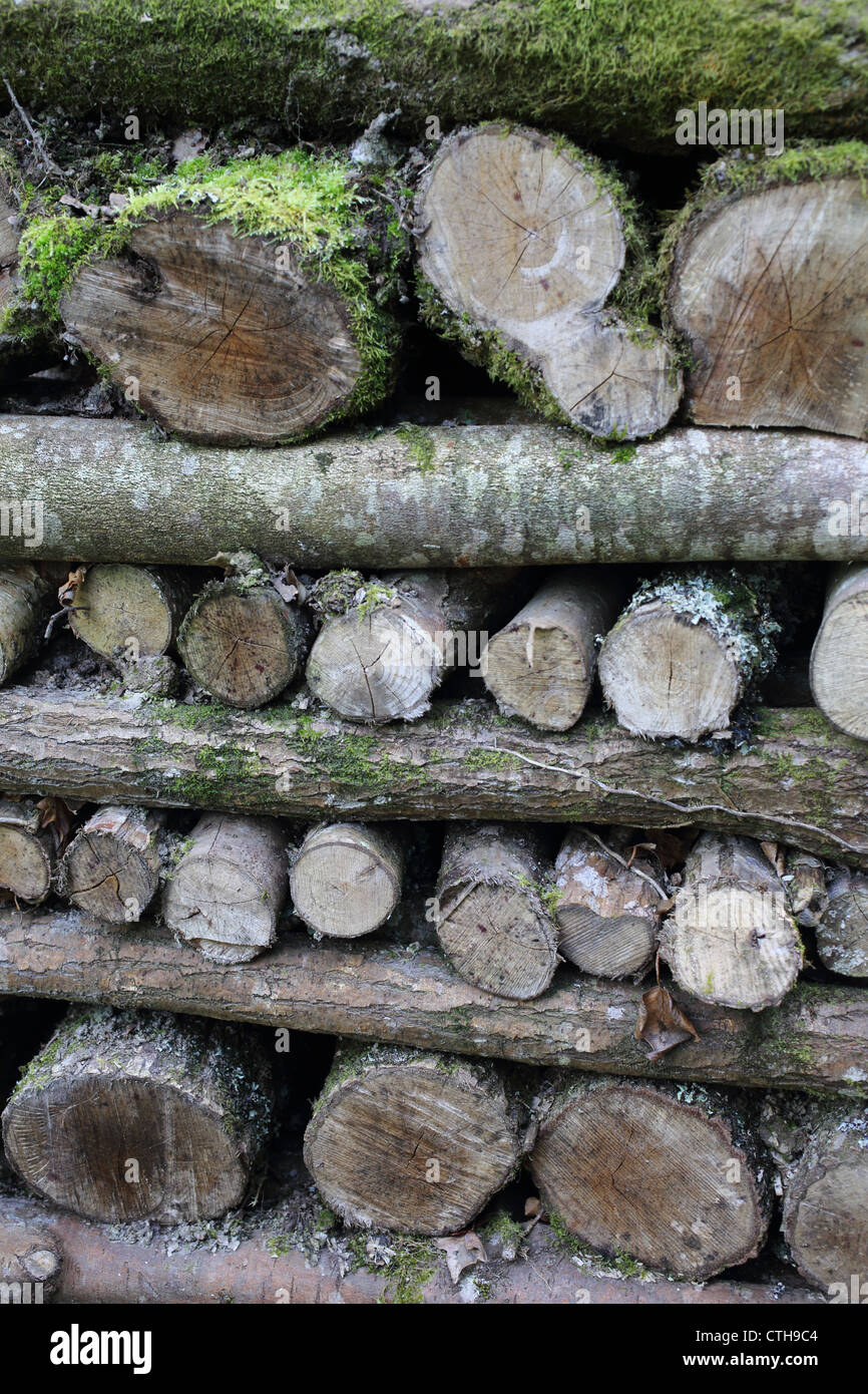 Log Pile; UK Stock Photo