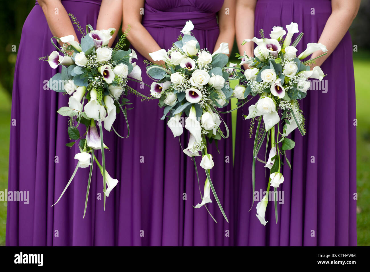 three bridesmaids in purple dresses holding wedding bouquets Stock Photo