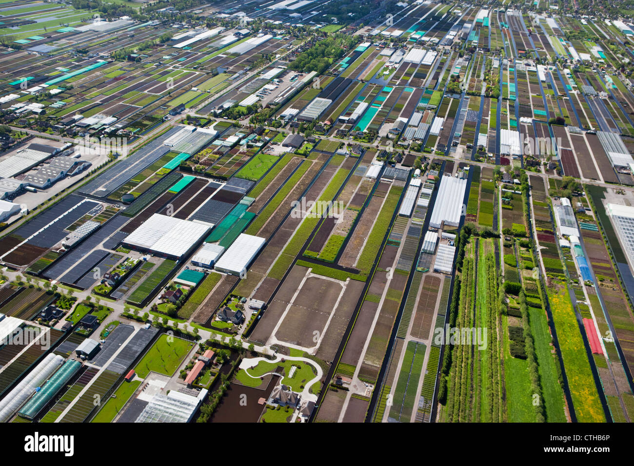 The Netherlands, Boskoop, Horticulture. Aerial. Stock Photo