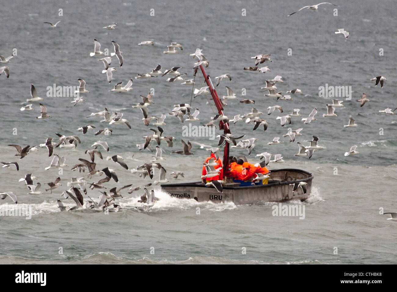 The Netherlands, Kamperland, Fishing boat. Stock Photo