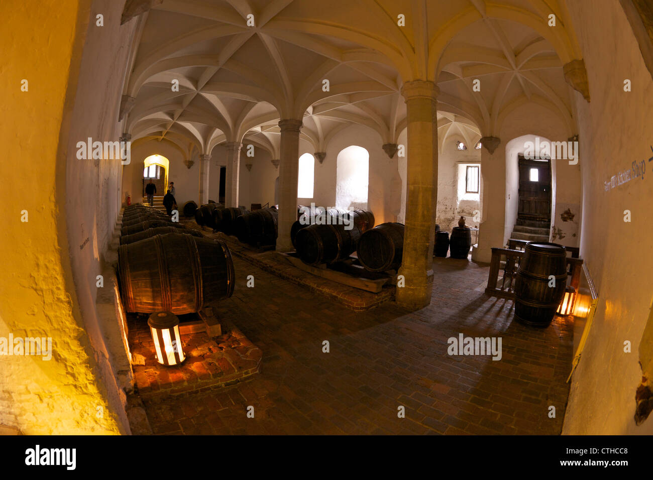 Wine Cellar of Henry VIII, Hampton Court Palace, London, Surrey, England, UK, United Kingdom, GB, Great Britain, British Isles, Stock Photo