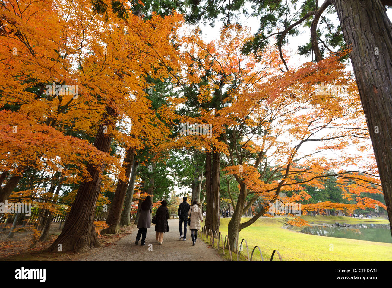 Tourists walking through ground of  Chusonji, Hiraizumi, Iwate Prefecture, Japan Stock Photo