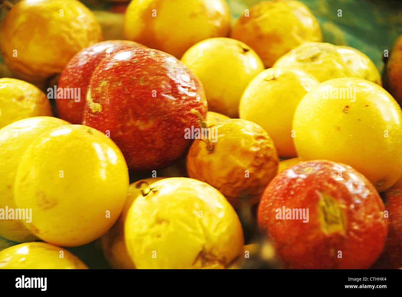 Locally grown on the island of St. Croix is Passionfruit. Stock Photo