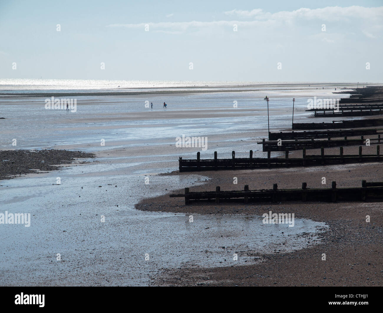 Worthing beach at low tide Stock Photo Alamy