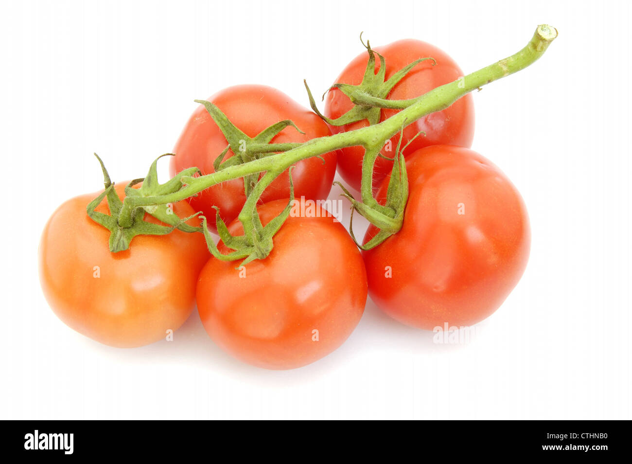 Vine ripened tomatoes isolated on a white background Stock Photo - Alamy