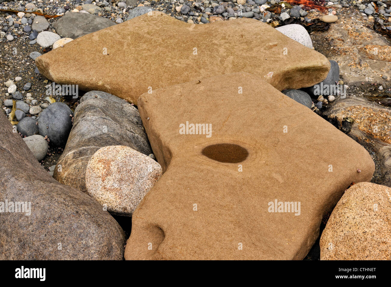Coastal sandstone rocks sculpted by tidal action on the shore of Juan de Fuca Strait, Whiffen Spit (Sooke), BC, Canada Stock Photo