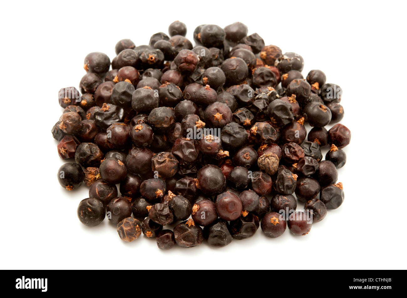 Dried juniper berries on a white background Stock Photo