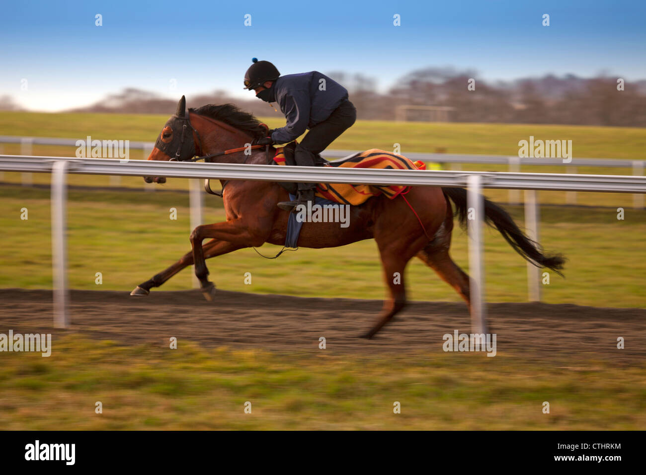 A racehorse galloping at full speed Stock Photo