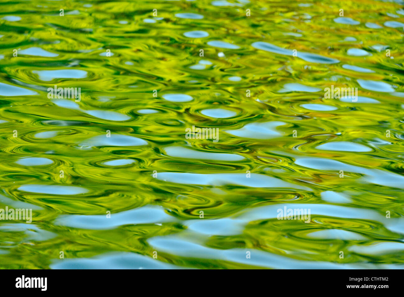 Ripples and reflections in ocean water, Victoria, BC, Canada Stock Photo