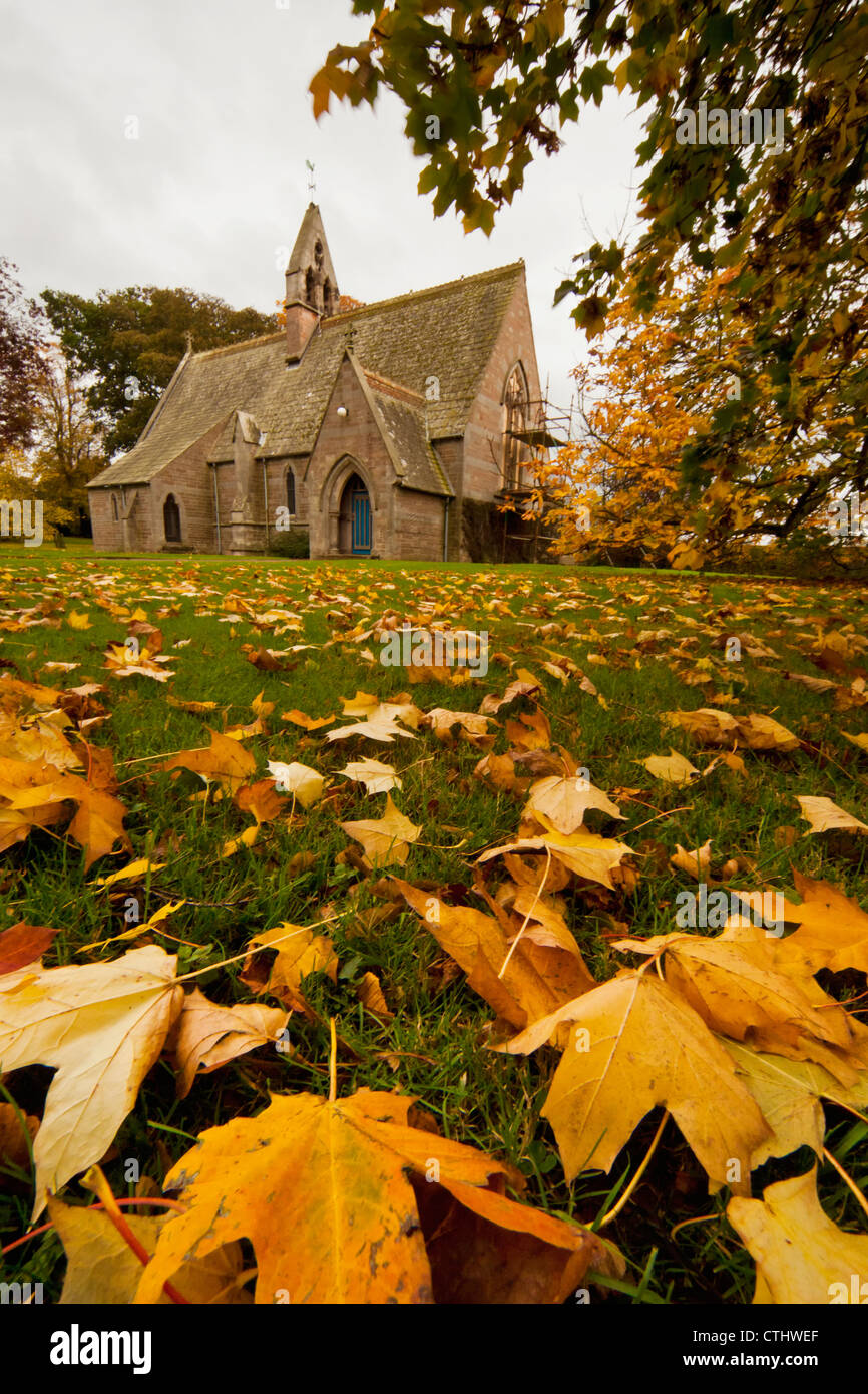 Fallen Leaves On The Grass In Autumn With A Church Building In The ...