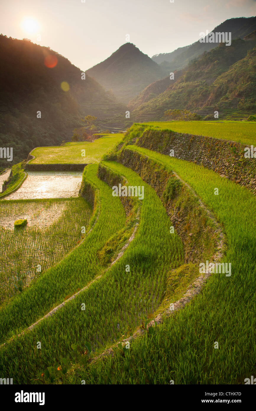 Rice Terraces; Bangaan, Northern Luzon, Philippines Stock Photo
