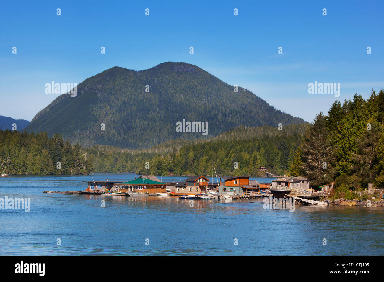 Float Homes In The Harbour; Tofino, British Columbia, Canada Stock
