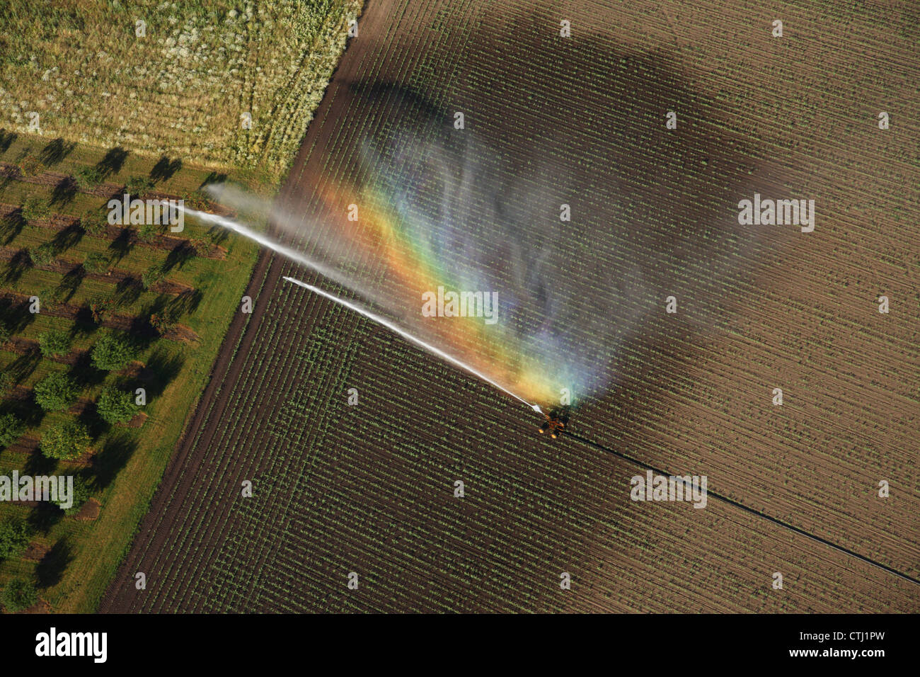 Aerial view of rainbow in irrigation sprinkler Stock Photo