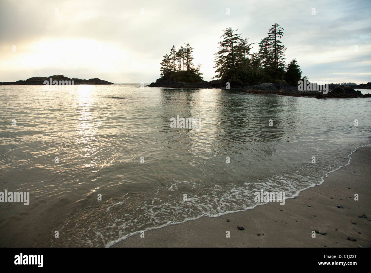 Ucluth Beach In The Wya Point Campground Near Ucluelet On Vancouver Island; British Columbia
