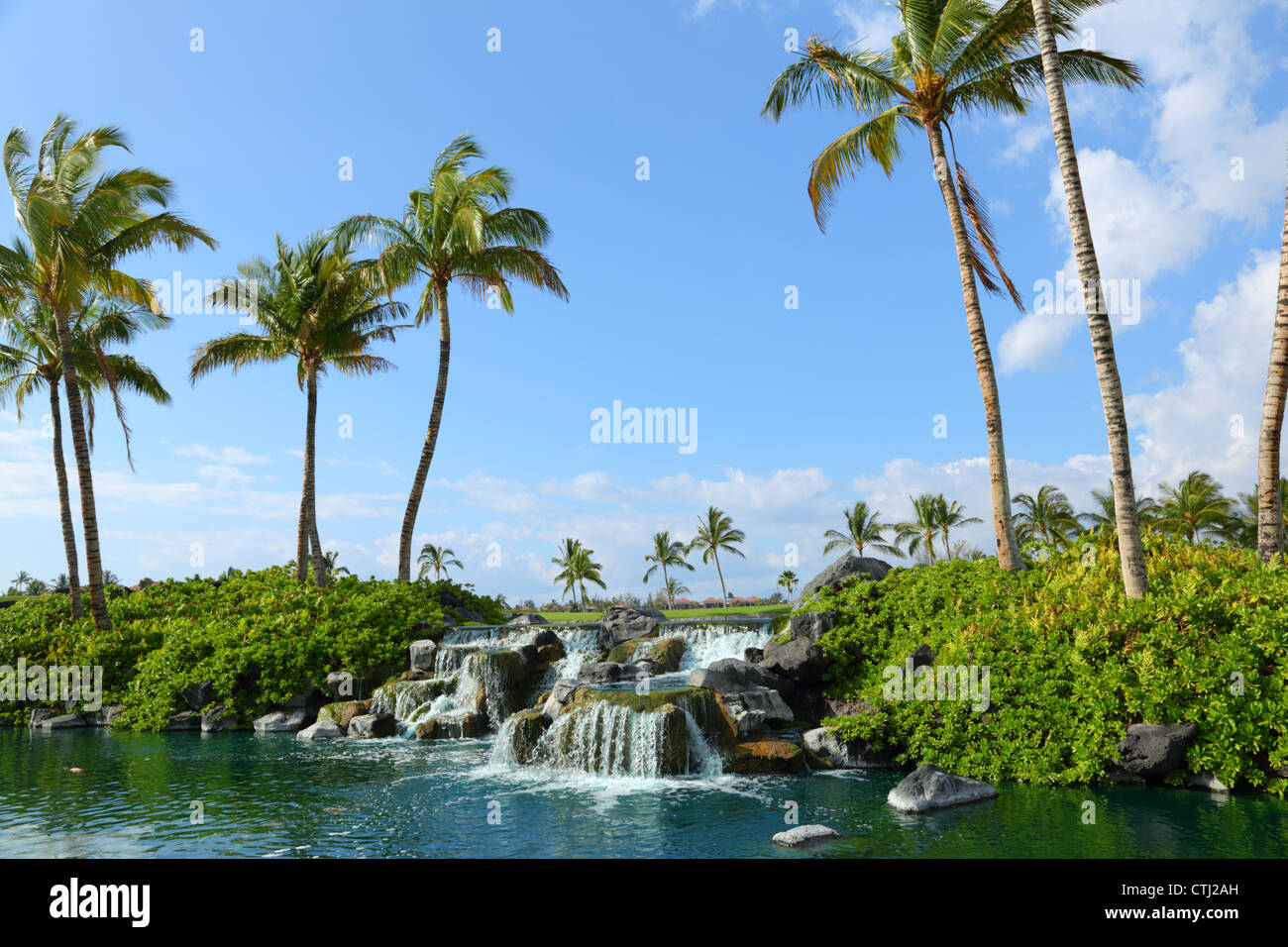 Palm trees and waterfall at Waikoloa, Hawaii Stock Photo