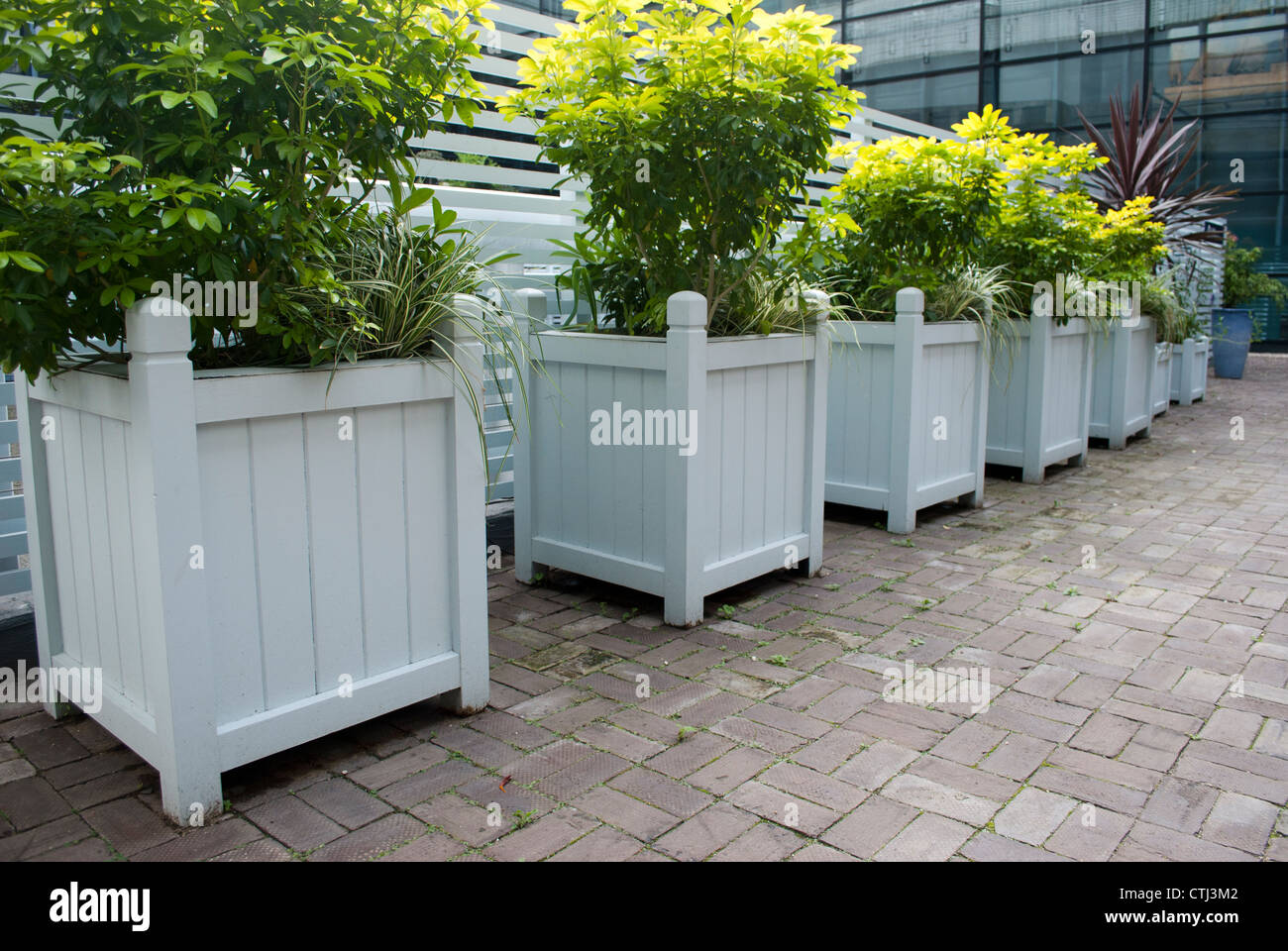Square planters hi-res stock photography and images - Page 2 - Alamy