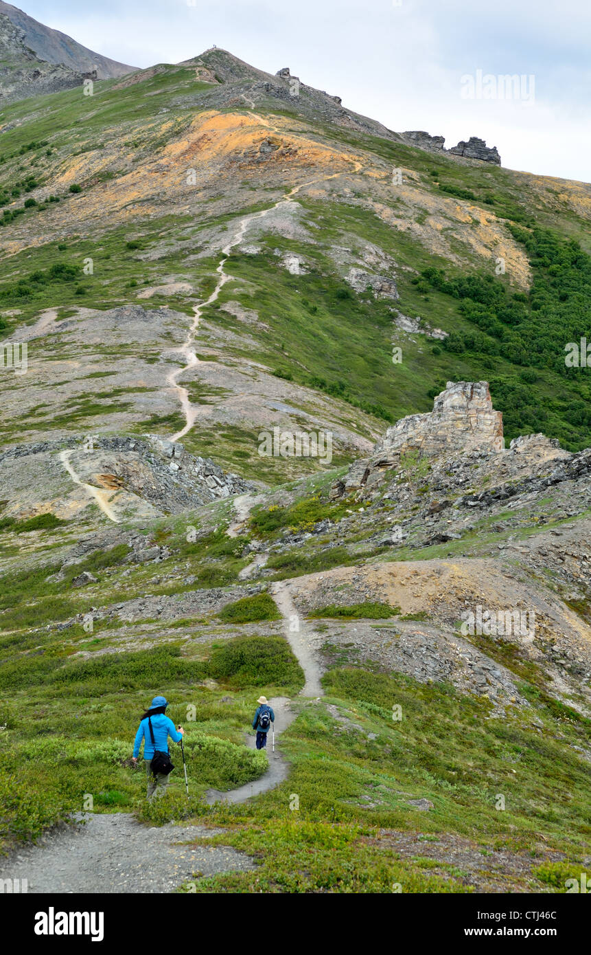 Hikers on Mt. Healy trail. Denali National Park and Wildness Preserve. Alaska, USA. Stock Photo