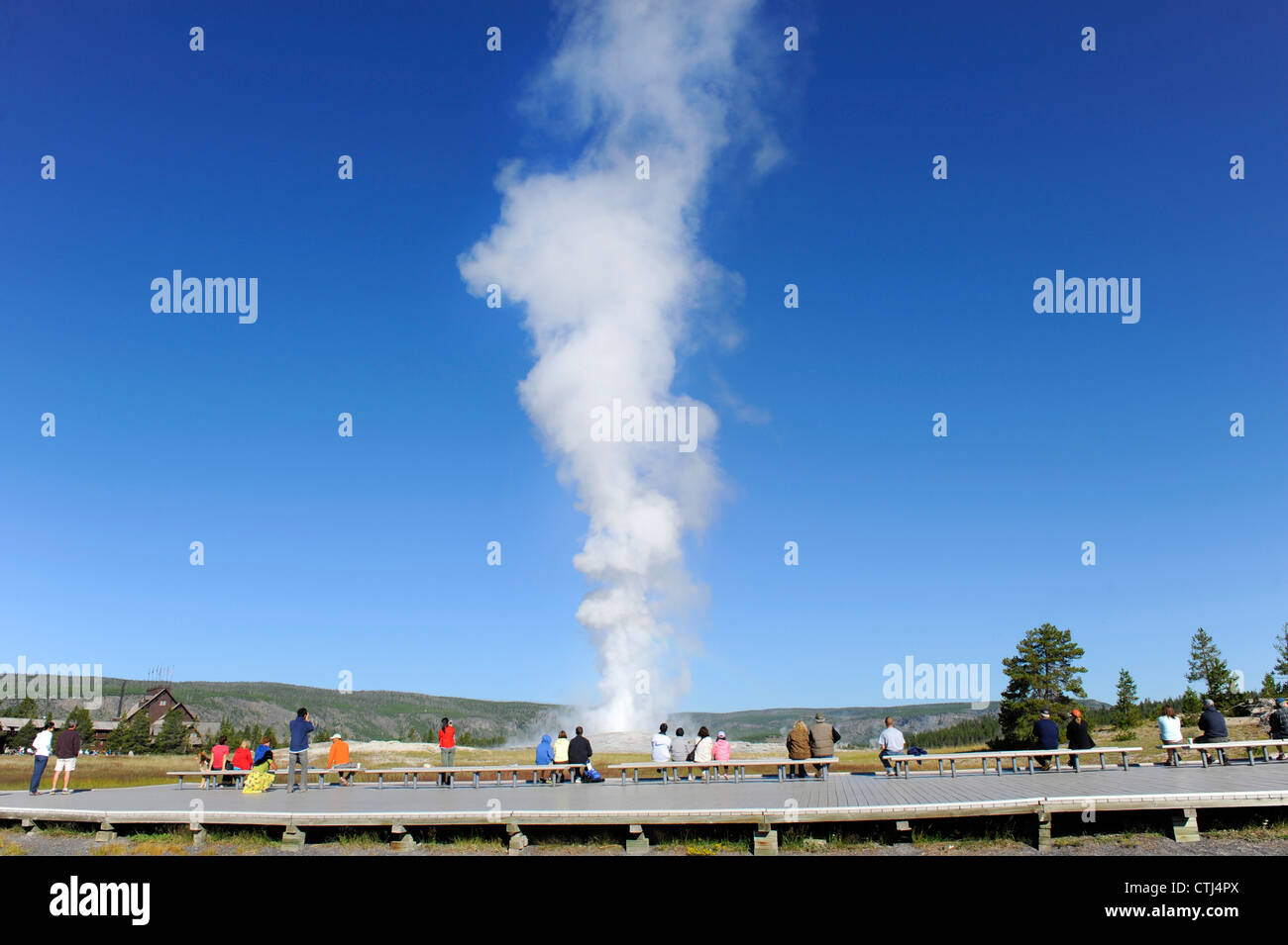Old Faithful Geyser Eruption Yellowstone National Park Wyoming, WY ...