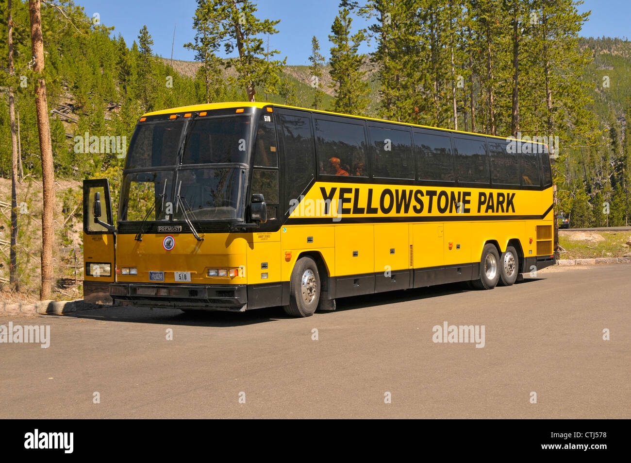 Yellowstone Bus Tours 2024 Nat Leeanne