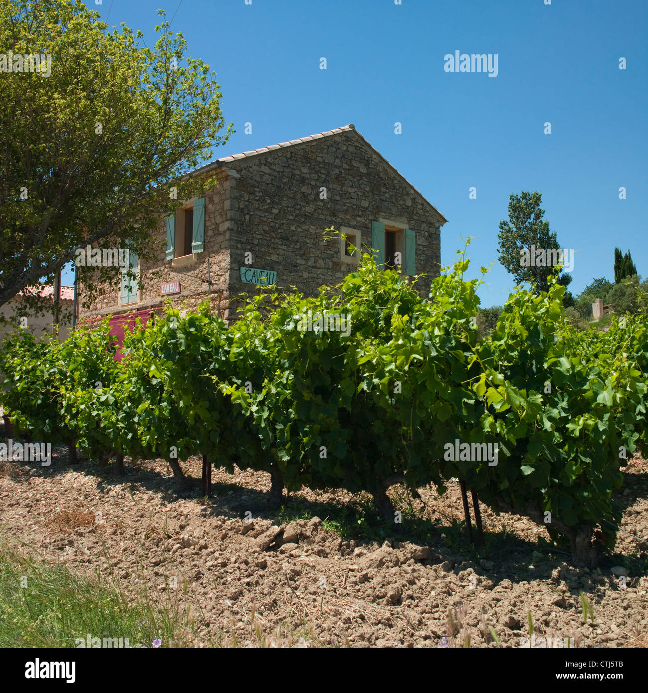 Suzette provence france hires stock photography and images Alamy